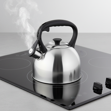 Afbeelding in Gallery-weergave laden, Florina Onda Fluitketel 2,1 L – RVS Zilver – Inductie & Alle Warmtebronnen