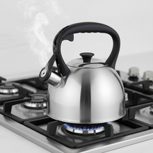 Afbeelding in Gallery-weergave laden, Florina Onda Fluitketel 2,1 L – RVS Zilver – Inductie & Alle Warmtebronnen
