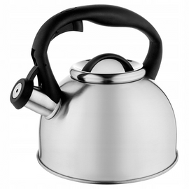 Florina Silia Fluitketel 2,5 L – Geborsteld RVS Zilver – Inductie & Alle Warmtebronnen
