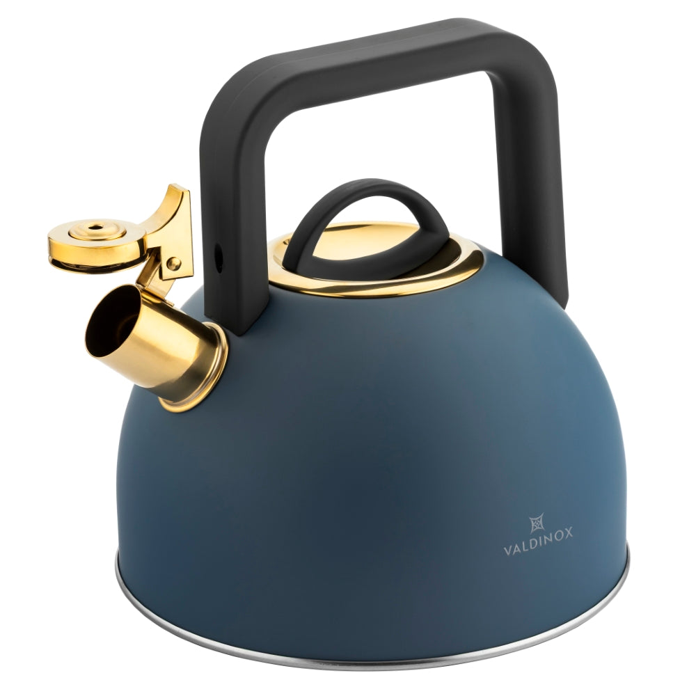 Valdinox Giovanni fluitketel 2,5L – RVS inductie fluitketel – Modern design met gouden accenten – Mat Blauw