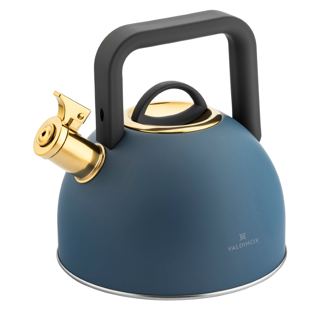 Valdinox Giovanni fluitketel 2,5L – RVS inductie fluitketel – Modern design met gouden accenten – Mat Blauw