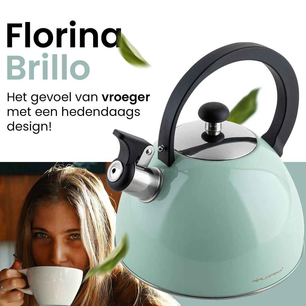 Florina Brillo fluitketel RVS mint groen 2.5 Liter - ook geschikt voor inductie