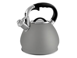 Florina Virgo Fluitketel 3,4 L – RVS Mat Grijs – Theeketel Inductie & Alle Warmtebronnen