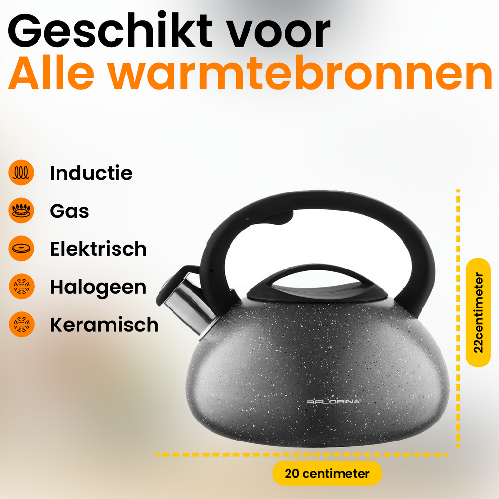 2,5 liter fluitketel, roestvrijstalen fluitketel, met anti-brandende 2,5 liter fluitketel, roestvrijstalen fluitketel, met anti-brandende
