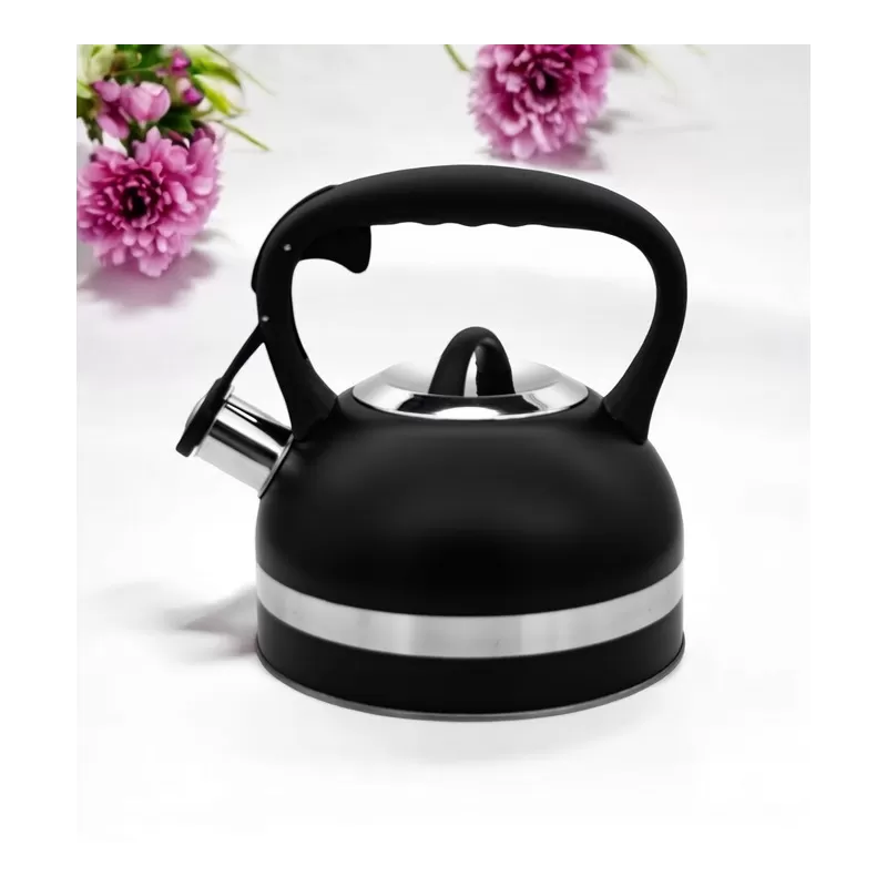 Meyerhoff RVS fluitketel 2,5 liter MH-4156F – Inductie fluitketel – Zwart – Met fluit – Hittebestendige handgreep – Voor gas en inductie