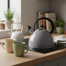 Afbeelding in Gallery-weergave laden, Florina Brillo Fluitketel 2,5 L – RVS – Donkergrijs – Inductie &amp; Alle Warmtebronnen